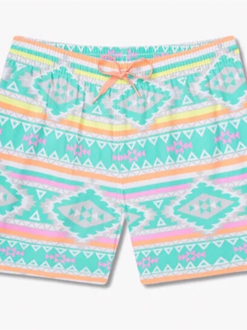 Men’s Chubbies Brand Swim Trunks